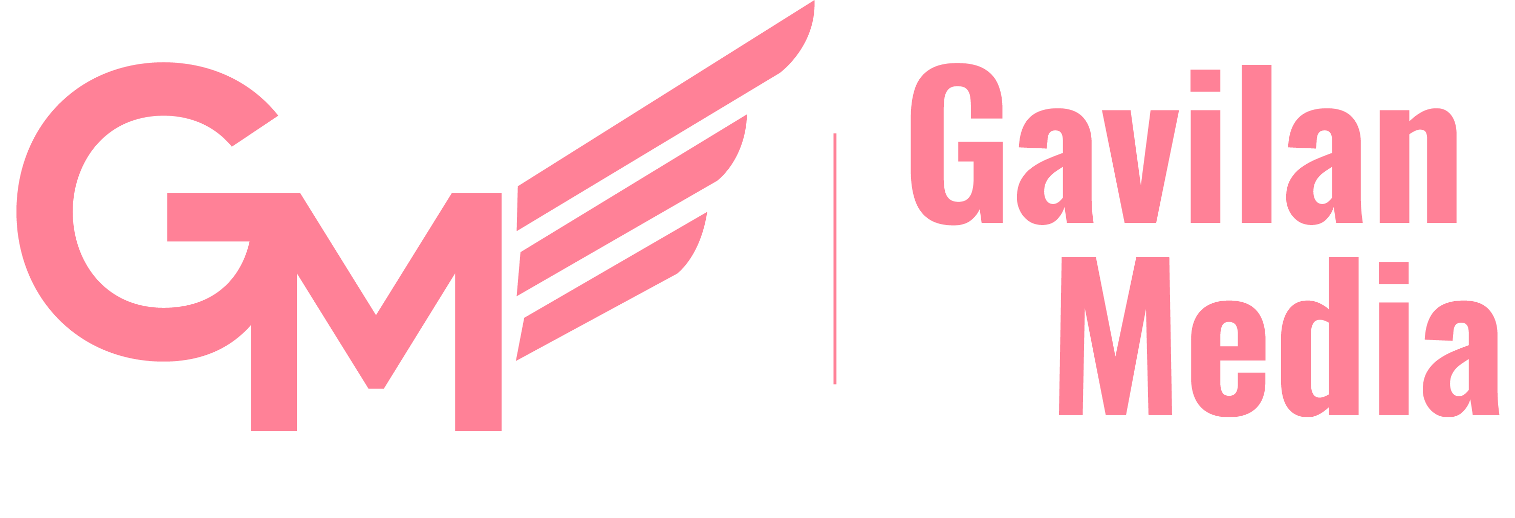 Gavilán Media